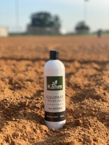 veterinary-liniment-for-horse